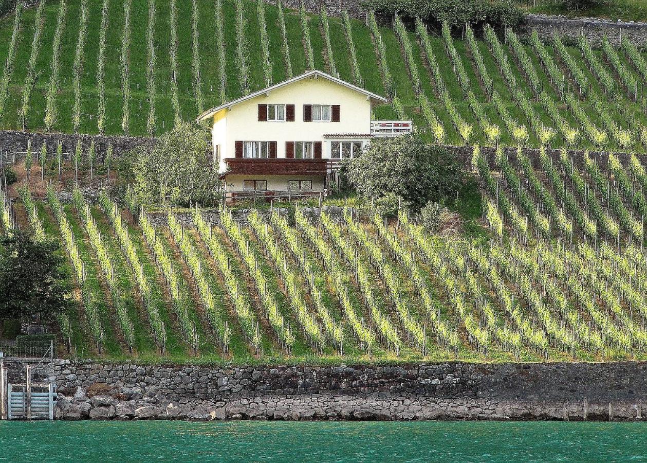 Haus Buenten Quinten Eksteriør billede